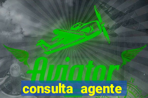 consulta agente autuador sp